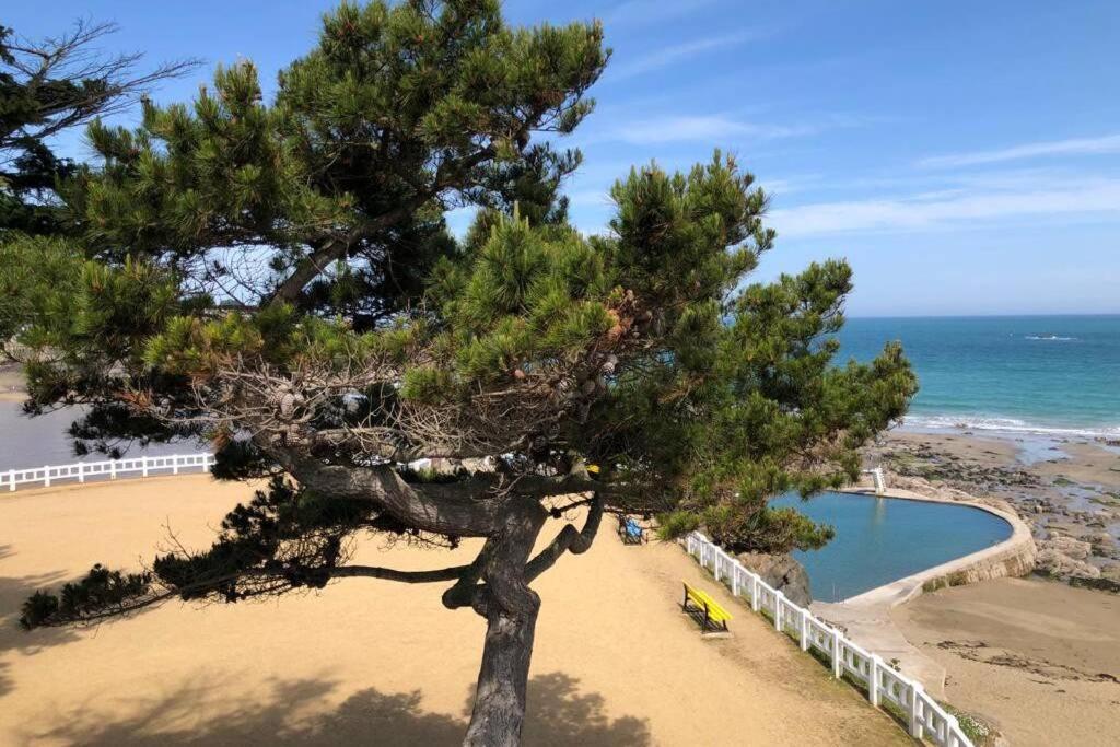 Belle Maison Neo-Bretonne A 5 Minutes De La Mer Tréveneuc エクステリア 写真